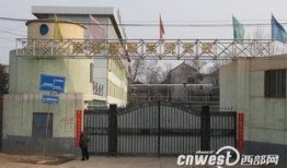 商洛网友最新爆料,揭秘某事件背后真相！