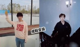 成毅村里人爆料视频,真实生活与荧幕形象的差距