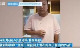 鲁山爆料者最新回应,揭秘事件真相与后续发展
