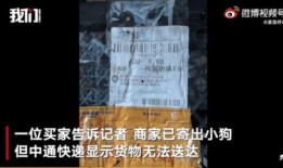 成都快递最新爆料,揭秘行业变革与配送新趋势