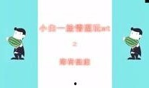 薄荷爆料视频完整版在线观看,揭秘幕后真相，带你走进事件核心