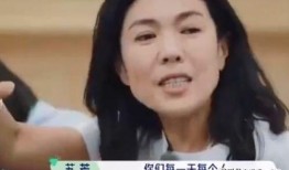 谢娜酒店爆料事件视频,真相与争议全解析