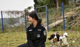 警花与警犬在线观看,热血追踪，守护平安的忠诚伴侣