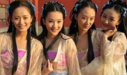 帝王之妾在线完观看,宫廷爱恨情仇的悲欢离合