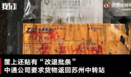 成都快递最新爆料,揭秘行业变革与配送新趋势