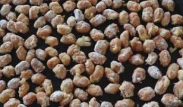 多彩脆皮花生做法爆料视频,一招制胜！多彩脆皮花生制作大揭秘