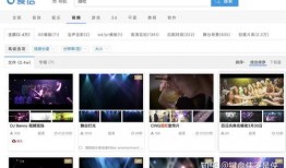 唯美爆料视频素材无水印,揭秘无水印视频素材背后的故事