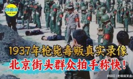 朝阳群众爆料真实事件视频,真实事件视频背后的惊人真相