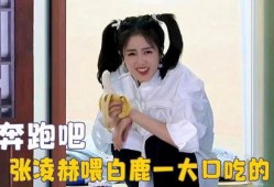 娱乐吃瓜酱白鹿,娱乐吃瓜酱的甜蜜蜕变之旅