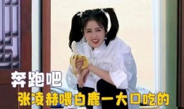 娱乐吃瓜酱白鹿,娱乐吃瓜酱的甜蜜蜕变之旅