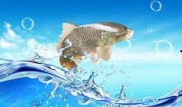 小目鱼最新爆料视频,揭秘娱乐圈惊人内幕！