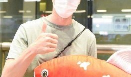 娱乐吃瓜酱养鱼,揭秘网红养鱼背后的趣味生活