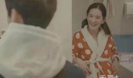 谢娜酒店爆料事件视频,真相与争议全解析