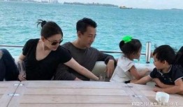 爆料汪小菲照片事件视频,真相与争议并存