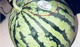 离石网红吃瓜,揭秘网络热点背后的故事
