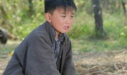 郑伟爆料视频播放大全集,事件始末与背后真相