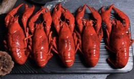 飞哥爆料虾仁视频大全最新,虾仁视频大全精彩瞬间大揭秘