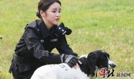 警花与警犬在线观看,热血追踪，守护平安的忠诚伴侣