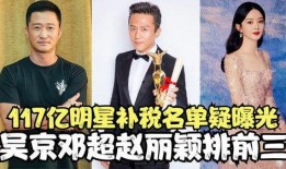 明星补税爆料视频,揭秘明星补税内幕视频曝光