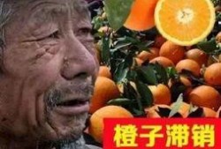 大爷爆料茶叶事件视频,大爷爆料视频曝光惊人真相
