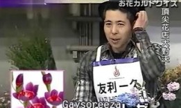 霸花店全集在线观看,花店奇缘，爱情与梦想的交织