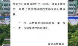 霍邱爆料最新消息,揭秘事件真相，真相令人震惊！