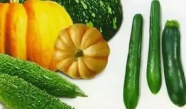 吃瓜娱乐间的作品,揭秘娱乐圈背后的故事与真相