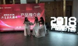 洛阳正大集团最新爆料,揭秘企业转型与市场布局新动向