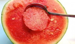 吃瓜网红小勺子图片,网红美食新风尚