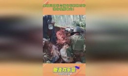 缅甸爆料视频大全,揭秘真实内幕