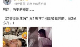 狗仔爆料陈飞宇视频,狗仔爆料背后的真相揭秘