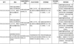 罚罪最新爆料视频下载,揭秘剧情高潮与角色命运转折