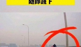 长沙男子弃车跳桥爆料视频,惊心动魄的生死瞬间