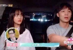 娱乐圈恐丑吃瓜路人,恐丑吃瓜路人的生存法则