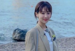 圈内真实爆料杨紫肖战,揭秘娱乐圈的甜蜜搭档幕后故事