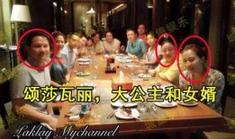 公主爆料视频大全集下载,揭秘幕后真相与精彩瞬间