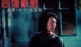 西谎极落在线观看,揭秘网络直播背后的真实世界