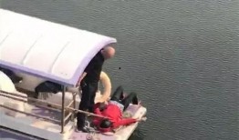 文安女士爆料最新情况,事件进展及幕后真相揭露