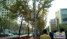 新江湾城最新爆料事件,神秘事件引发热议，真相即将揭晓