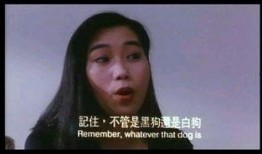 中港丽人粤语在线观看,穿越时空的美丽传奇