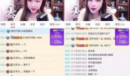 海丰爆料女主播视频大全,揭秘网络直播界的魅力与争议