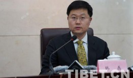 西藏热点爆料新闻最新,揭开神秘历史面纱