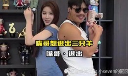 老挝主播爆料事件视频播放,视频播放引发热议