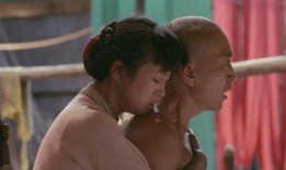 菊豆在线在线观看,重温经典，感受传统戏曲魅力