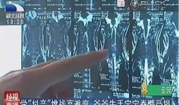 湖北经视新闻爆料,揭秘某重大事件背后真相