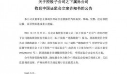 中国证监最新爆料,揭秘证券市场违法违规行为！”