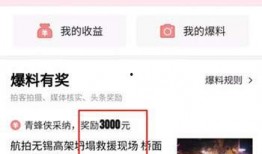 怎么在头条爆料新闻,如何轻松成为信息传播者