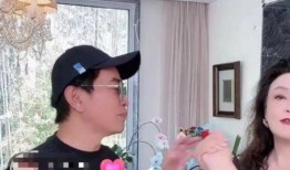 张兰遗憾爆料视频在线观看,揭秘背后真相
