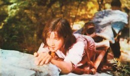 电影小花在线观看影片,穿越时光的青春记忆