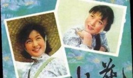 电影小花在线观看影片,穿越时光的青春记忆